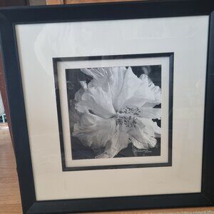 Alicia Soave picture